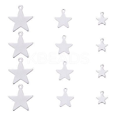 304 Stainless Steel Charms STAS-CJ0001-51-1