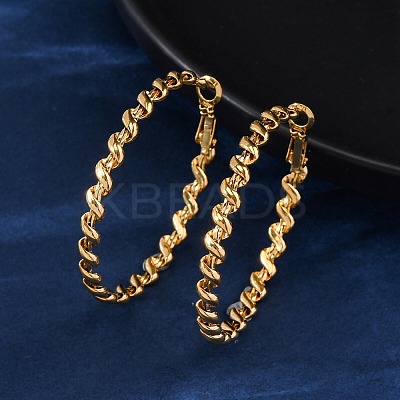 304 Stainless Steel Hoop Earrings EJEW-S250-04A-G-1