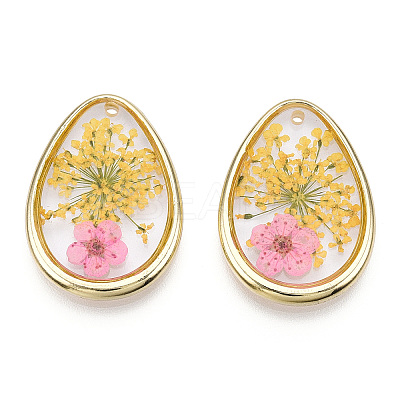 Alloy Epoxy Resin Pendants PALLOY-TAC0044-79-1