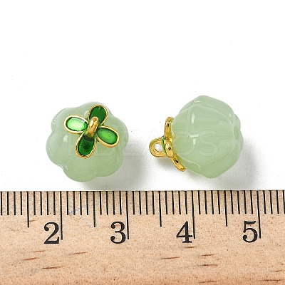 Glass Charms GLAA-P072-04G-06-1