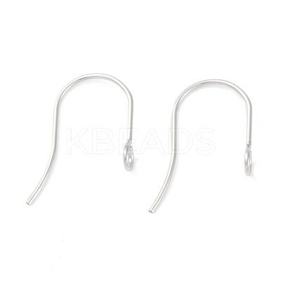 Tarnish Resistant 316 Surgical Stainless Steel Earring Hooks X-STAS-P162-13P-B01-1