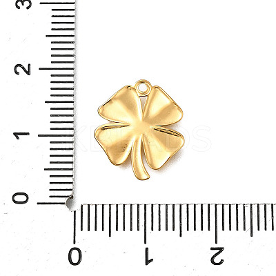 304 Stainless Steel Charms STAS-R159-09G-1