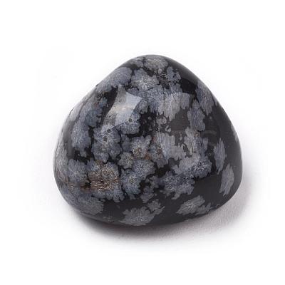 5Pcs Natural Snowflake Obsidian Beads G-FS0002-02-1