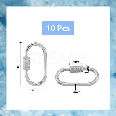 304 Stainless Steel Screw Carabiner Lock Charms STAS-UN0047-24P-1