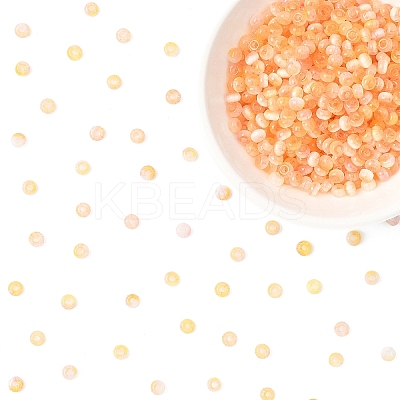 50G Imitation Cat Eye Glass Seed Beads SEED-YW0003-15H-1