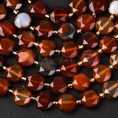 Natural Agate(Dyed & Heated) Beads Strands G-C116-A149-01-1
