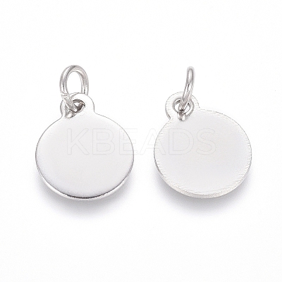 Non-Tarnish 304 Stainless Steel Charms LS-STAS-I124-02C-P-1
