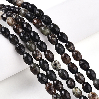 Natural Biotite Beads Strands G-N346-02B-02-1