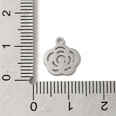 Non-Tarnish 304 Stainless Steel Charms STAS-L022-319P-1