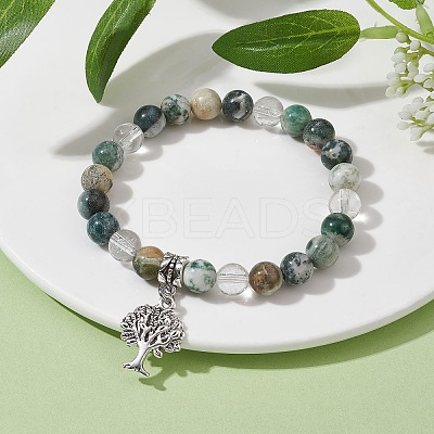 Natural Tree Agate Round Bead Stretch Bracelets BJEW-JB09872-02-1