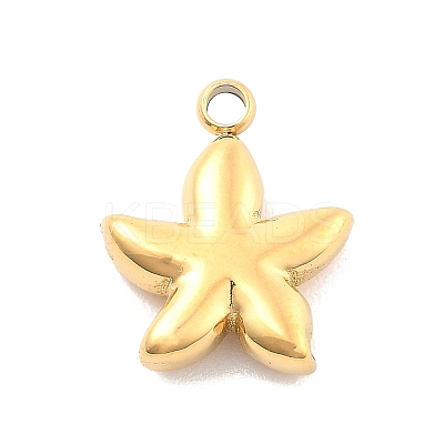 Ion Plating(IP) 304 Stainless Steel Pendants STAS-P379-15B-G-1