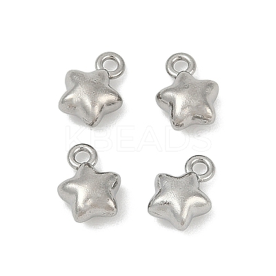 304 Stainless Steel Charms LS-X-STAS-E500-04P-1