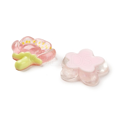 Translucent Resin Cabochons X1-RESI-F045-01-1