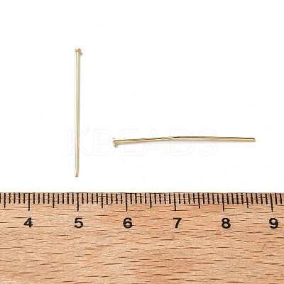 300Pcs 304 Stainless Steel Flat Head Pins STAS-UN0049-19-1