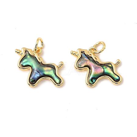 Natural Paua Shell Unicorn Pendants KK-G538-35G-1