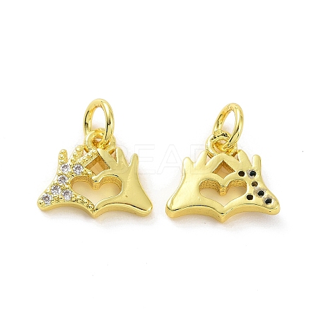 Brass Micro Pave Clear Cubic Zirconia Charms KK-E068-VF074-1