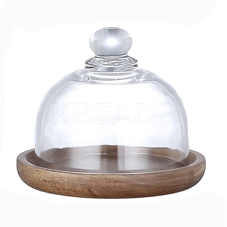 Glass Dome Cloche Cover PW-WG67980-01-1