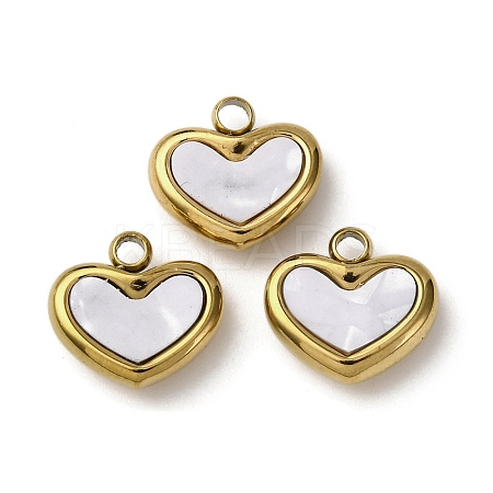 304 Stainless Steel Resin Pendants STAS-P406-15A-G-1
