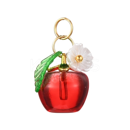 Baking Paint Transparent Glass Charms PALLOY-JF04490-01-1