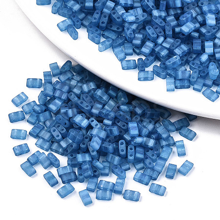 FGB 2-Hole Baking Paint Glass Seed Beads LS-X-SEED-S031-M-SH1205FR-1