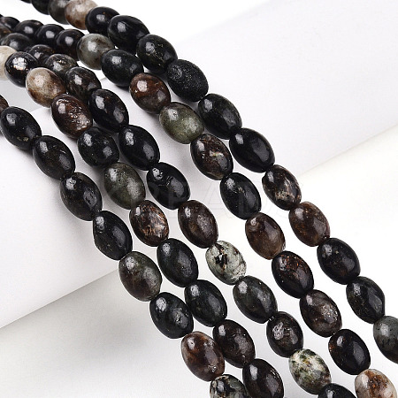 Natural Biotite Beads Strands G-N346-02B-02-1