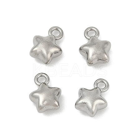 304 Stainless Steel Charms LS-X-STAS-E500-04P-1