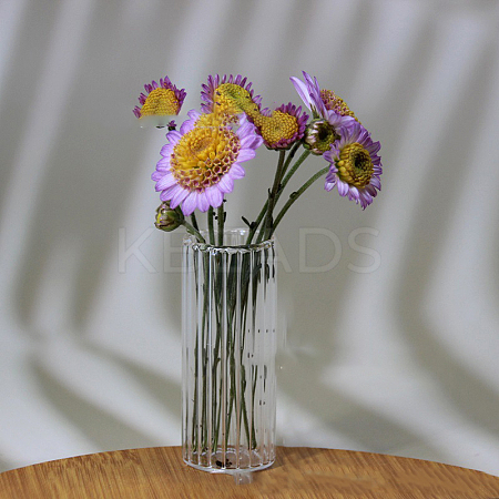 Transparent Miniature Glass Vase Bottles BOTT-PW0006-04G-1