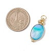 9Pcs 3 Colors Dyed Natural Shell Pendants PALLOY-JF04838-3