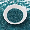 MIYUKI Delica Beads X-SEED-J020-DB1764-2