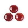 Natural Carnelian Cabochons G-F608-04C-01-1