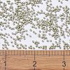 MIYUKI Delica Beads X-SEED-J020-DB1181-4
