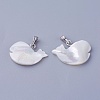 Shell Pendants SSHEL-E571-02P-2