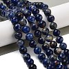 Natural South Africa Sodalite Beads Strands G-S259-35-12mm-01-5