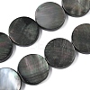 Natural Black Lip Shell Beads Strands BSHE-D300-05-20mm-1