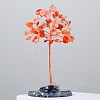 Natural Carnelian Chips Tree of Life Decorations PW-WG54461-05-1