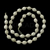 Natural Alashan Agate Beads Strands G-F809-A10-01-3