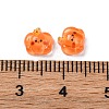 Cartoon Transparent Resin Cabochons CRES-R459-01H-3