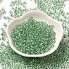 6/0 Transparent Inside Colours Glass Seed Beads SEED-P006-01A-03-2