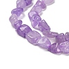 Natural Lavender Amethyst Beads Strands G-P497-01E-22-4