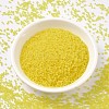 MIYUKI Delica Beads X-SEED-J020-DB0743-2