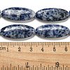 Natural Blue Spot Jasper Beads Strands G-B078-E07-01-5