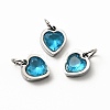 304 Stainless Steel Pendants STAS-D189-06P-08-1
