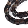 Natural Biotite Beads Strands G-T140-39A-3
