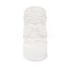 Natural Selenite Figurines DJEW-Q006-01I-1