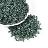 6/0 Transparent Inside Colours Glass Seed Beads SEED-N008-08D-1