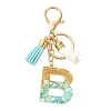 Transparent Epoxy Resin Pendant Keychains KEYC-FS00022-02-1