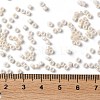 Baking Paint Glass Seed Beads SEED-S042-15A-02-4
