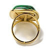 Ion Plating(IP) 304 Stainless Steel Open Cuff Rings RJEW-C079-12G-4