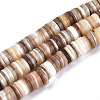 Natural Freshwater Shell Beads Strands SHEL-N003A-02-2