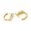 Clear Cubic Zirconia Rectangle Hoop Earrings EJEW-H093-11G-2